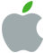 Apple icon